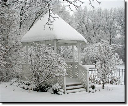 ev-whitesnow