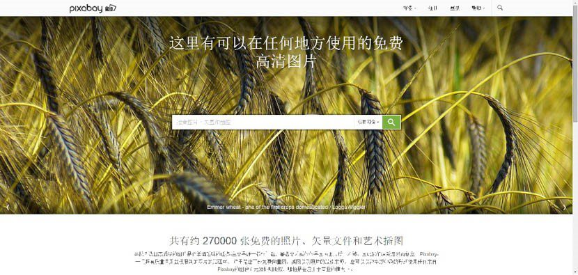 photo-site-12