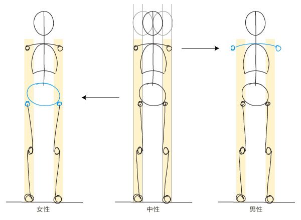 3-hips-and-shoulders
