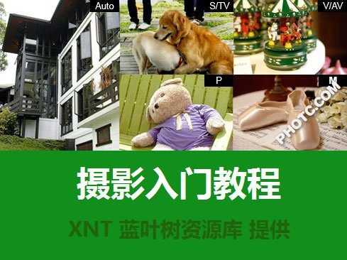 单反教程入门-操作模式