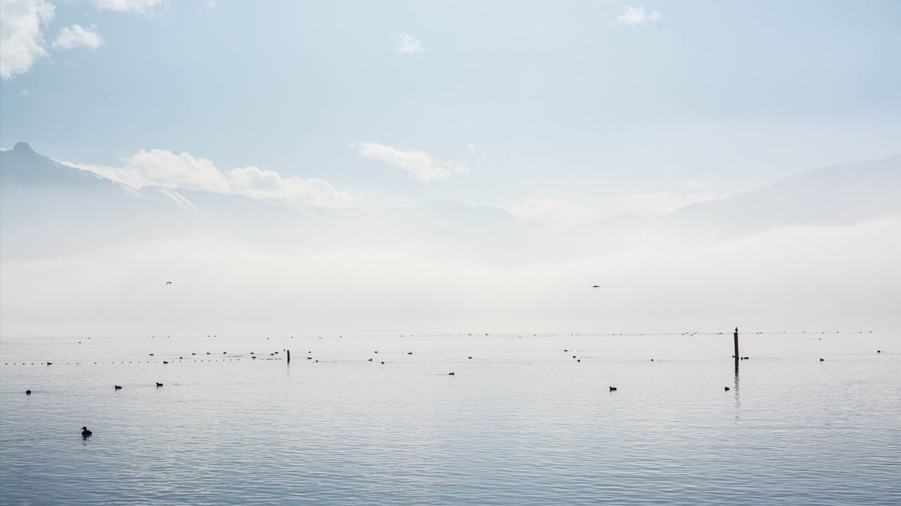 白色海浪