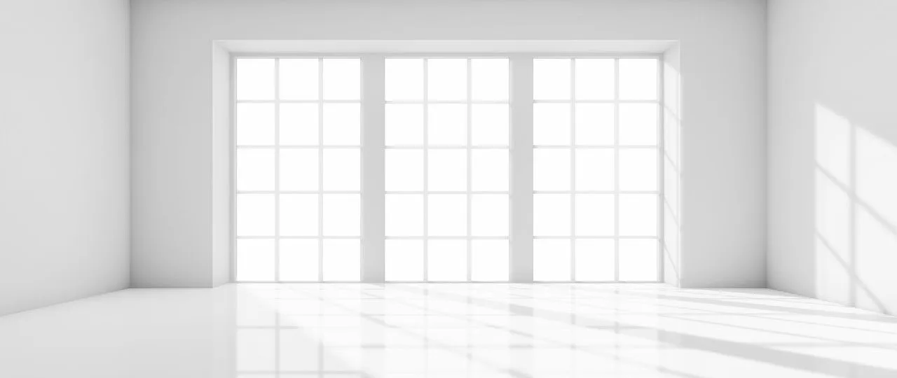 白色议会 – 关于肚子里的铅块