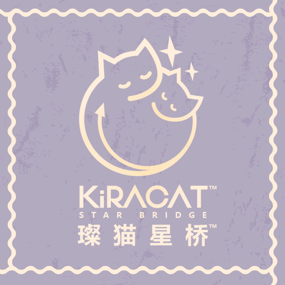 小猫咪与日落之河