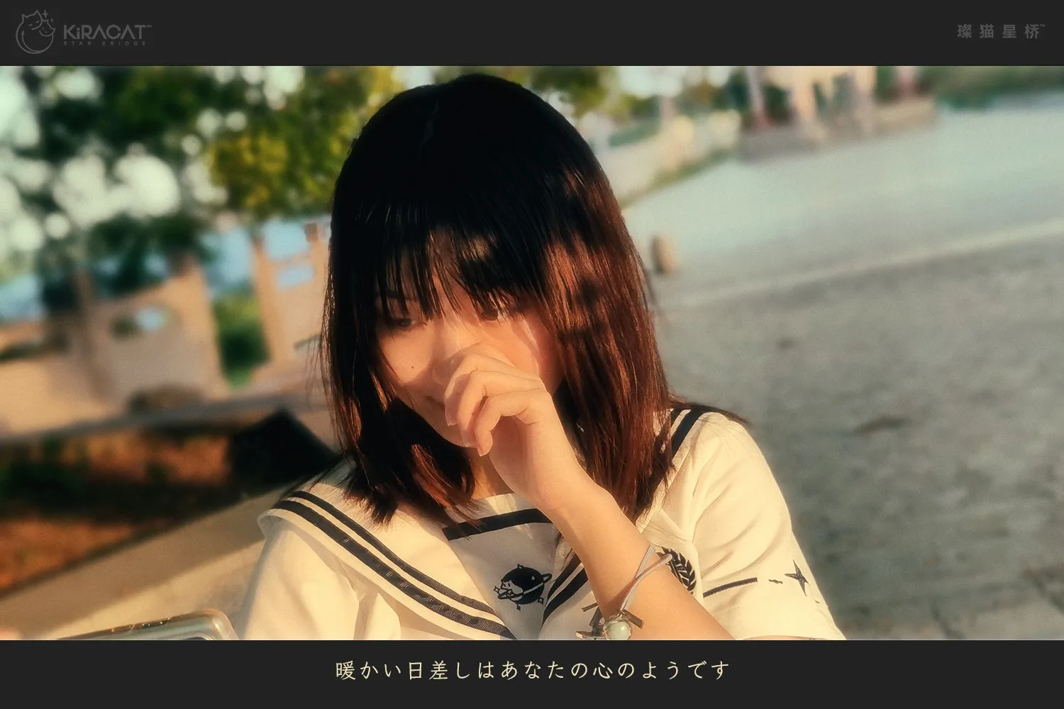 夏之猫，与星夜行