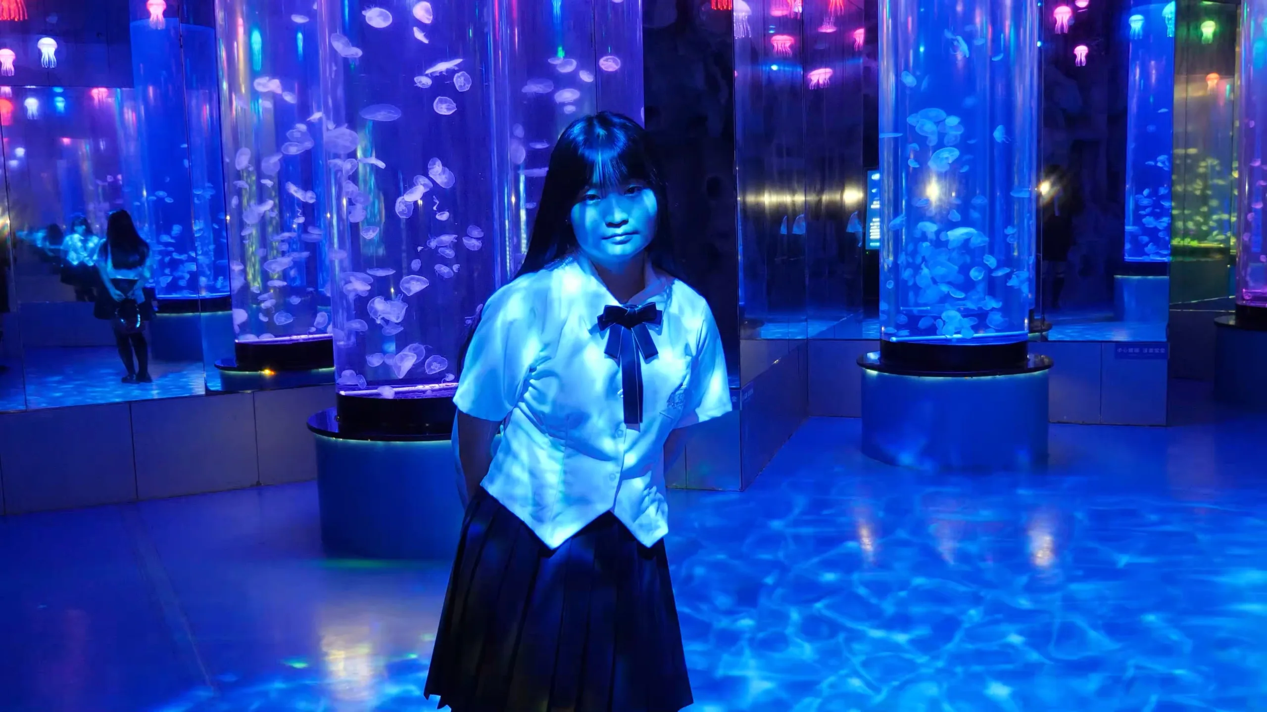 KiraCats与海洋馆