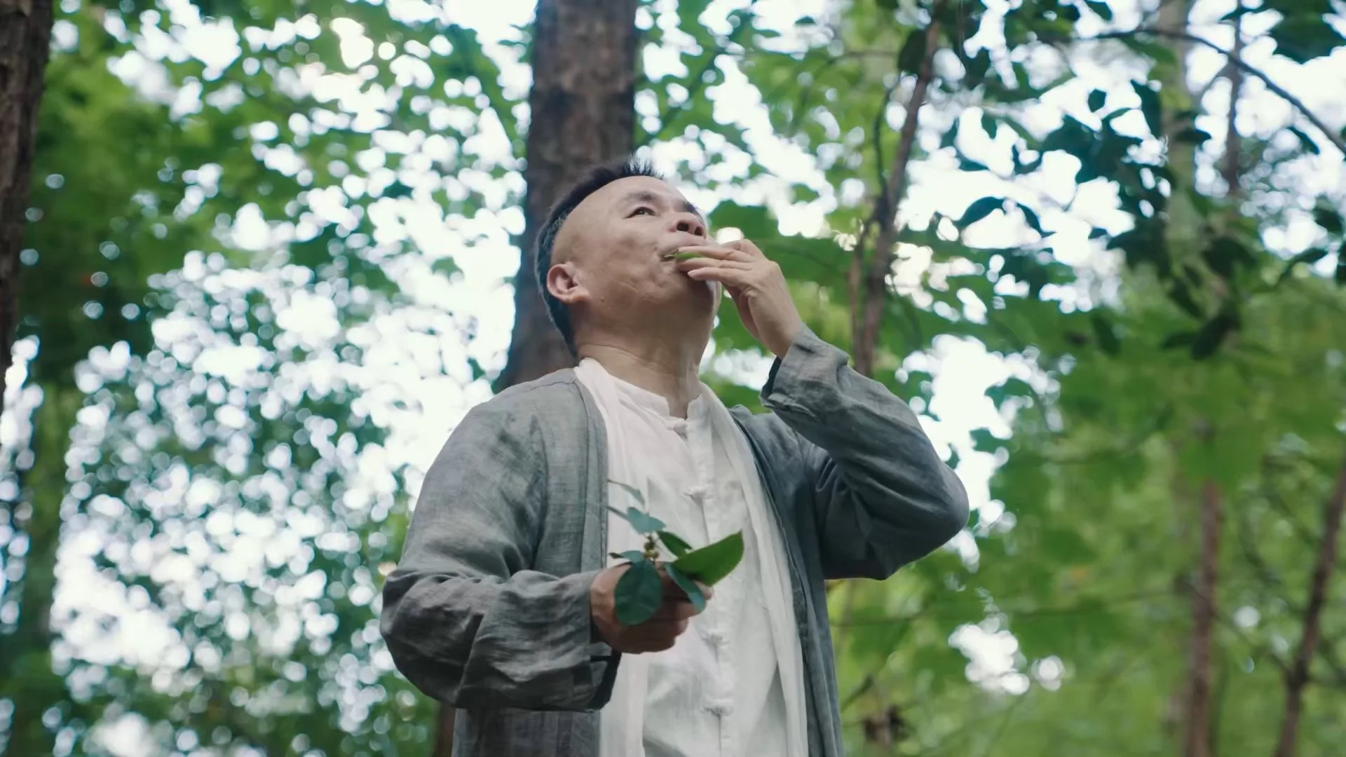 福建时间：草木之声